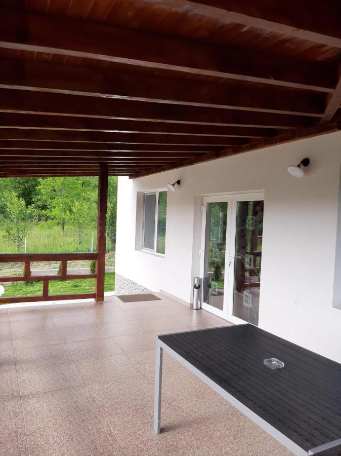 Casa Dumitru Hotel Cerasu Bagian luar foto