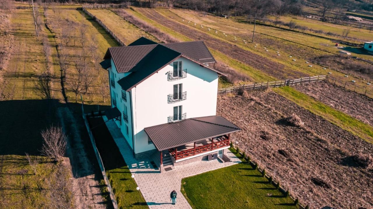 Casa Dumitru Hotel Cerasu Bagian luar foto