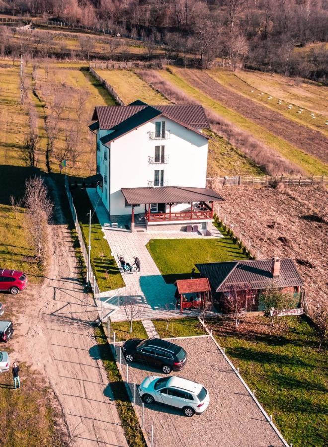 Casa Dumitru Hotel Cerasu Bagian luar foto