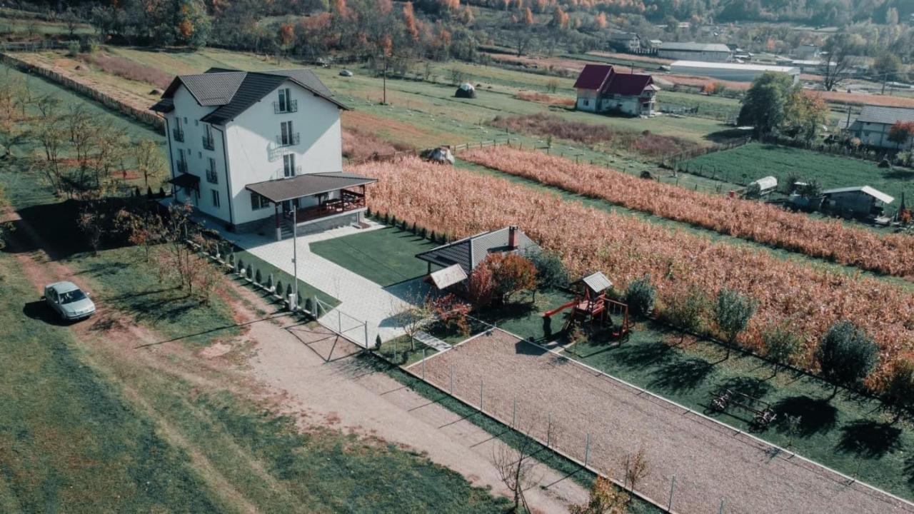 Casa Dumitru Hotel Cerasu Bagian luar foto