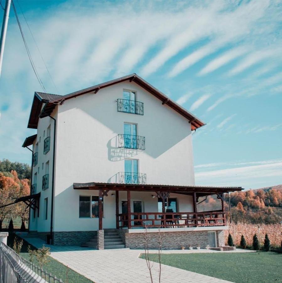 Casa Dumitru Hotel Cerasu Bagian luar foto